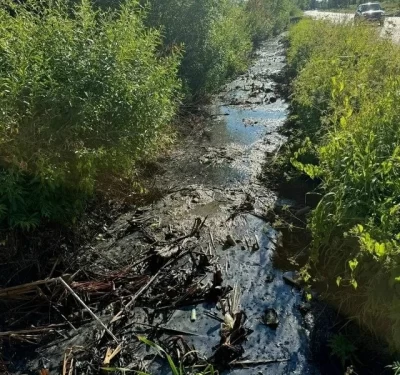 Загрязненную водоотводную канаву в рыбинском Копаево обещают прочистить