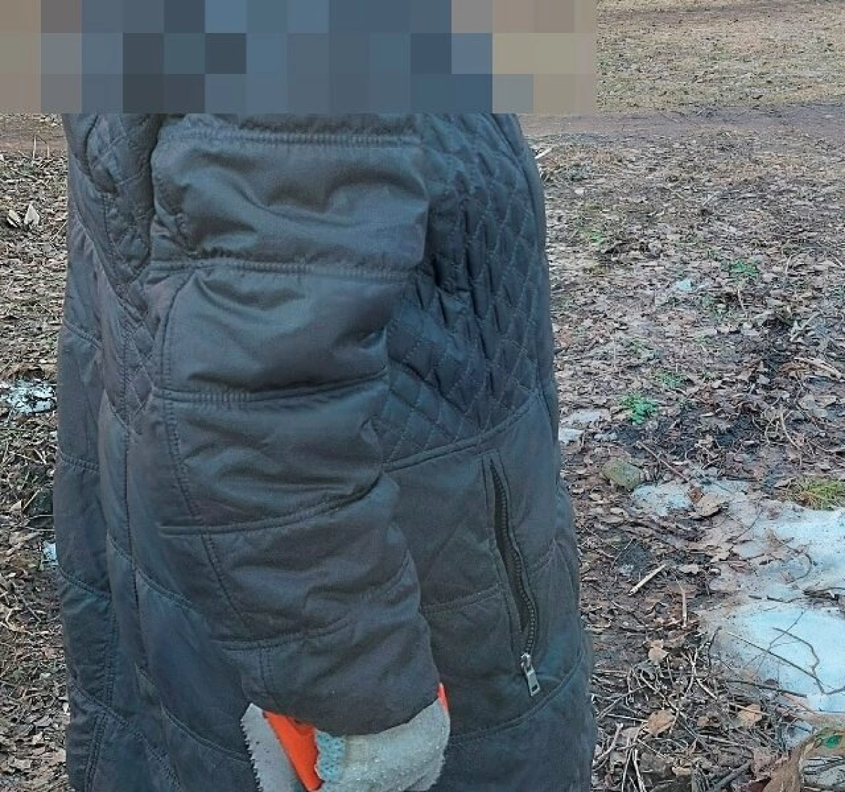 В Ярославле власти и полиция не могут справиться с бабушкой-пилильщицей