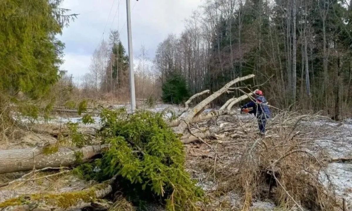 В Ярославской области апрельские снег и ветер вызвали отключения света