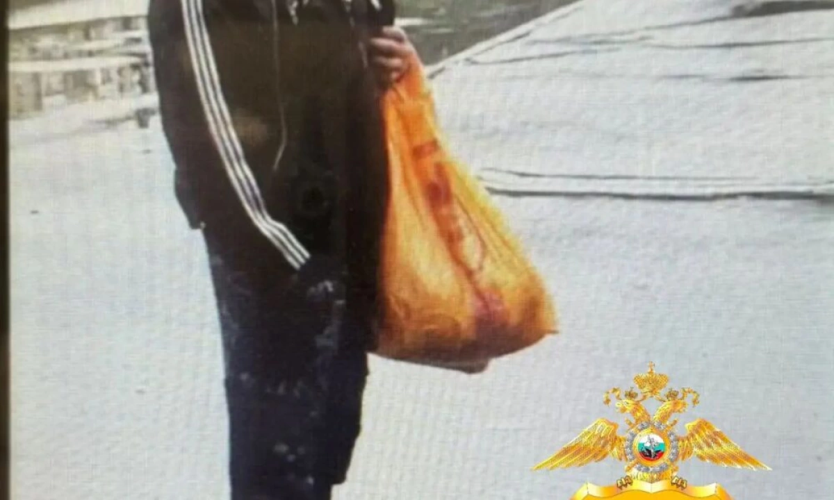 В Ярославле за поджог летней веранды кафе задержан бомж В Ярославле за поджог летней веранды кафе задержан бомж