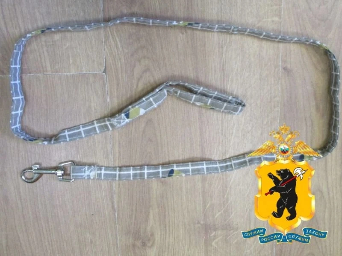 Житель Ярославской области душил дочь-подростка собачьим поводком