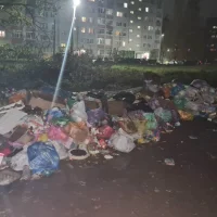 В Ярославле жители устроили мусорный &laquo;монблан&raquo; на месте убранных контейнеров