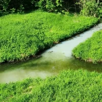 В Ярославле вновь возьмут пробы воды из Дунайки