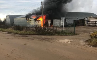 У ярославских фермеров сгорело 1500 тонн картофеля  