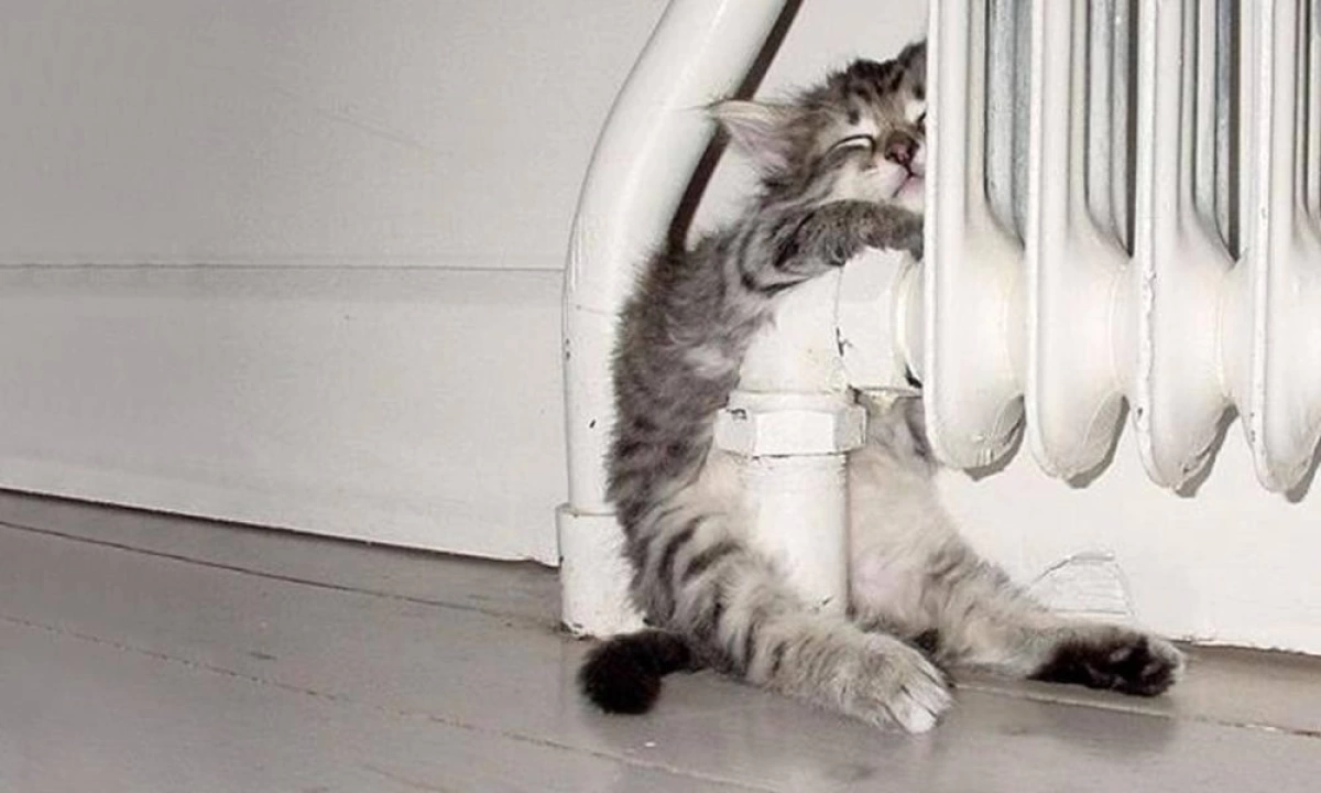 В Ярославской области появились первые просьбы выключить отопление