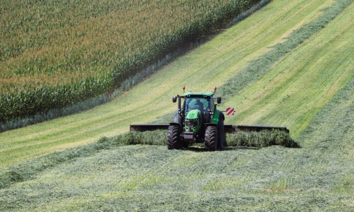 Михаил Евраев представил достижения ярославских аграриев на площадке СберСити в Москве Михаил Евраев представил достижения ярославских аграриев на площадке СберСити в Москве
