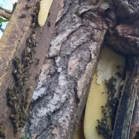 <br />
<b>Notice</b>:  Undefined variable: title_field in <b>/var/www/s246446/data/www/tutaev.city/templates/portal/controllers/content/widgets/list/list_news_custom.tpl.php</b> on line <b>21</b><br />
<br />
<b>Notice</b>:  Undefined index:  in <b>/var/www/s246446/data/www/tutaev.city/templates/portal/controllers/content/widgets/list/list_news_custom.tpl.php</b> on line <b>21</b><br />
