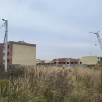 Глава СК России поручил возбудить дело о нарушении прав ярославских дольщиков