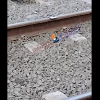 В Ярославле телефон на рельсах блокировал движение трамваев