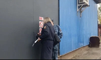 &laquo;Мухи и антисанитария&raquo;: в Ярославле опечатали овощную базу в Брагино