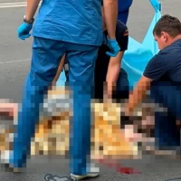 В Ярославле у строительного техникума автобус сбил девочку-подростка