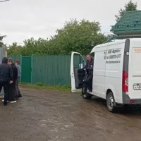 В Ярославле проведена проверка по сообщению о нападении своры собак на женщину