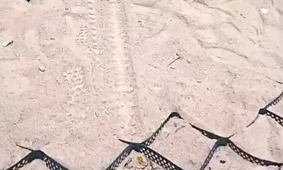 Власти просят ярославцев не мешать благоустройству Петропавловского парка