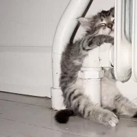 В Ярославской области появились первые просьбы выключить отопление