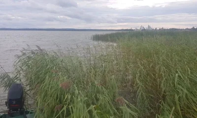 В Ярославской области предложили ограничить бесконтрольный вылов рыбы