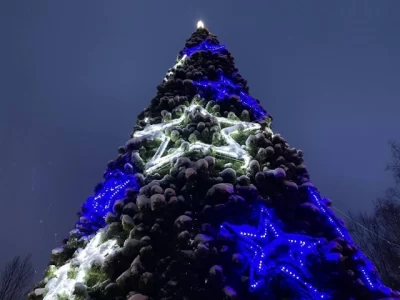 В Ярославле Заволжскому району подарили новогоднюю елку