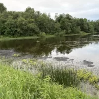 В Ярославской области после черного дождя на реке устанавливают боновые заграждения