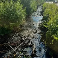 Загрязненную водоотводную канаву в рыбинском Копаево обещают прочистить