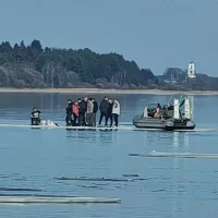 В Ярославле группа экстремалов устроила пикник на льдине