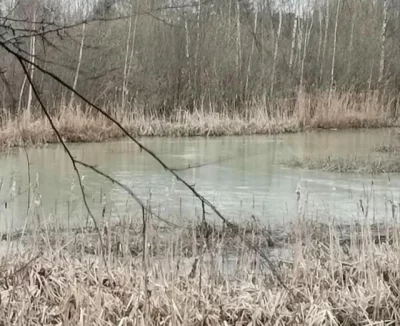 В Ярославле взяли пробы воды из Дудкинского ручья