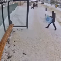 Житель Ярославской области заплатит за оставленный на остановке пакет с мусором