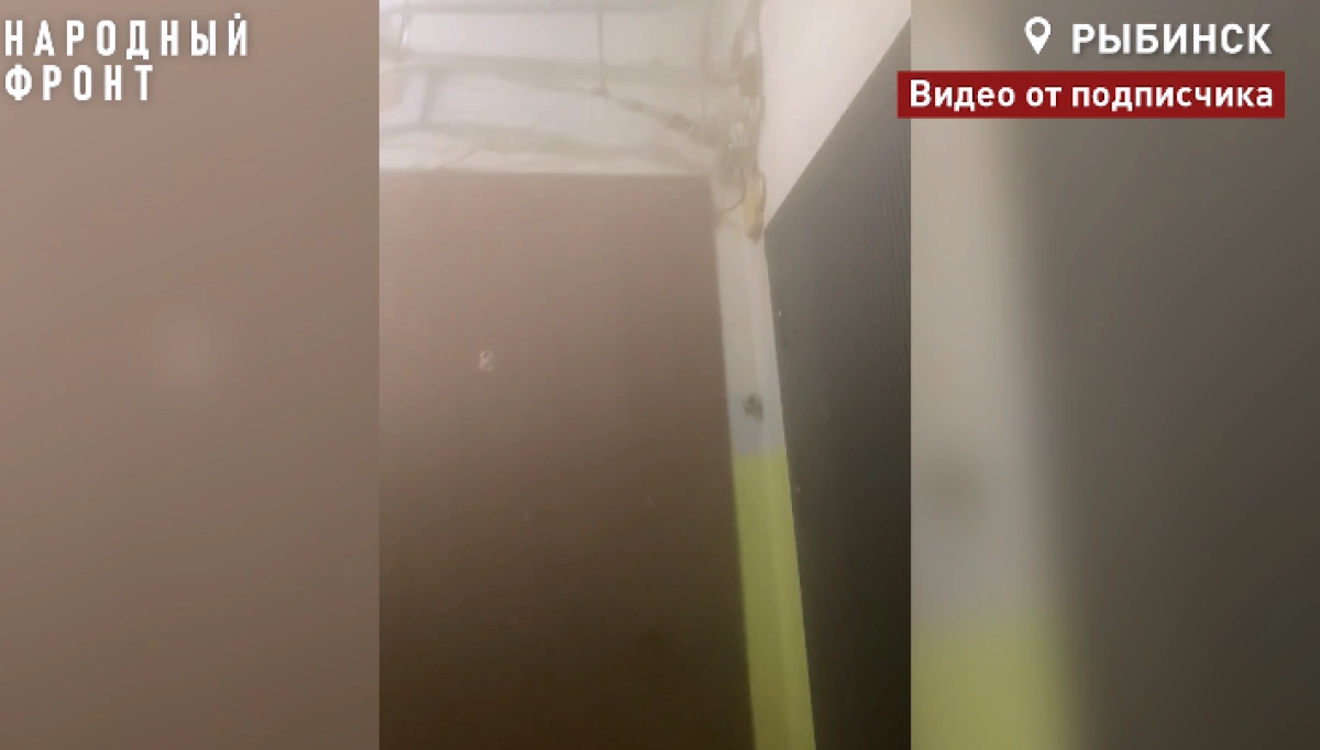 Подъезд в рыбинской двухэтажке превратился в парилку Подъезд в рыбинской двухэтажке превратился в парилку