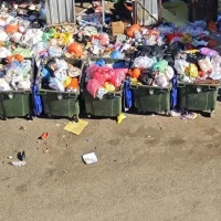 Врио мэра Ярославля призвал усилить борьбу с крысами