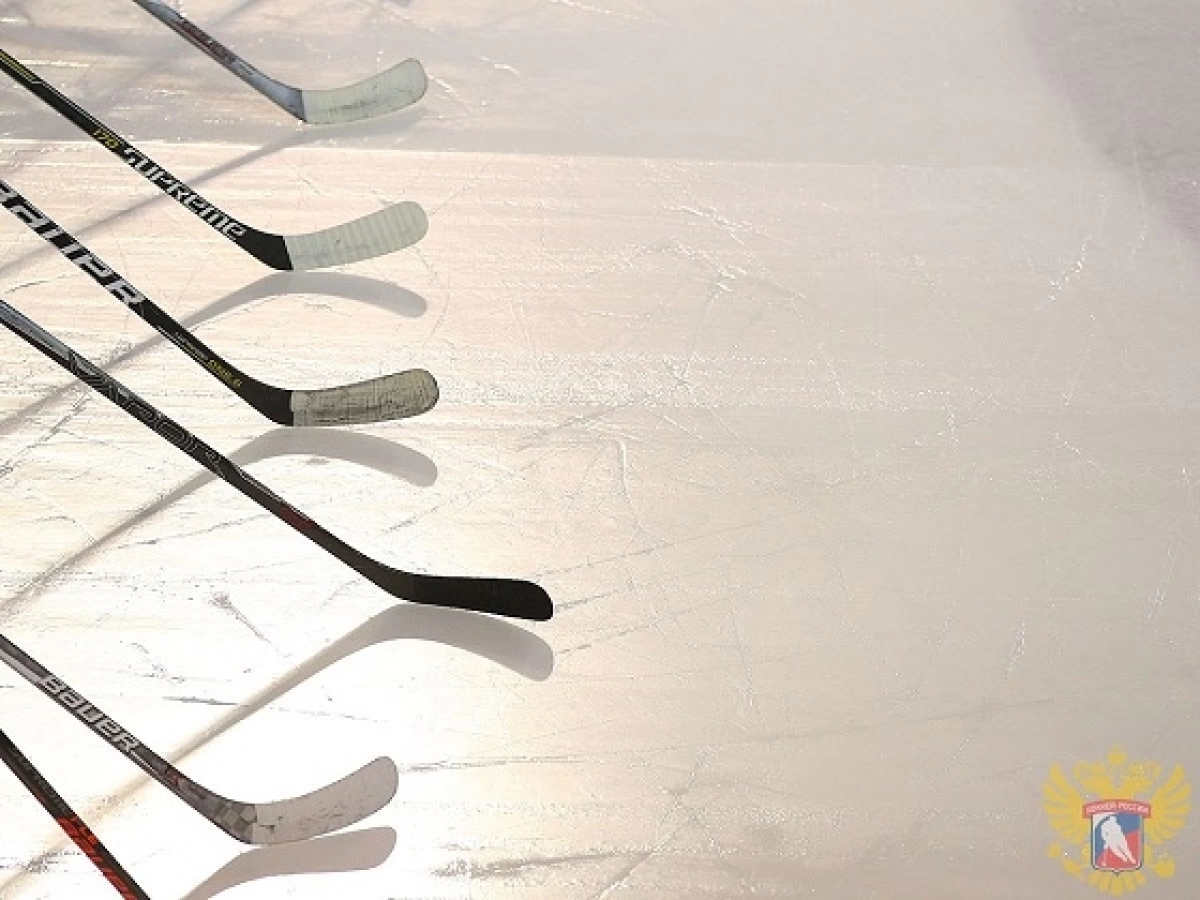 Одним из первых новичков СКА в межсезонье станет Николай Чебыкин