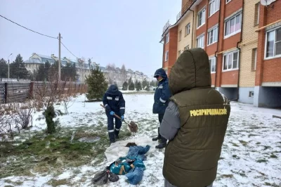 За фекальные разливы у домов в ярославском Полесье выписан штраф