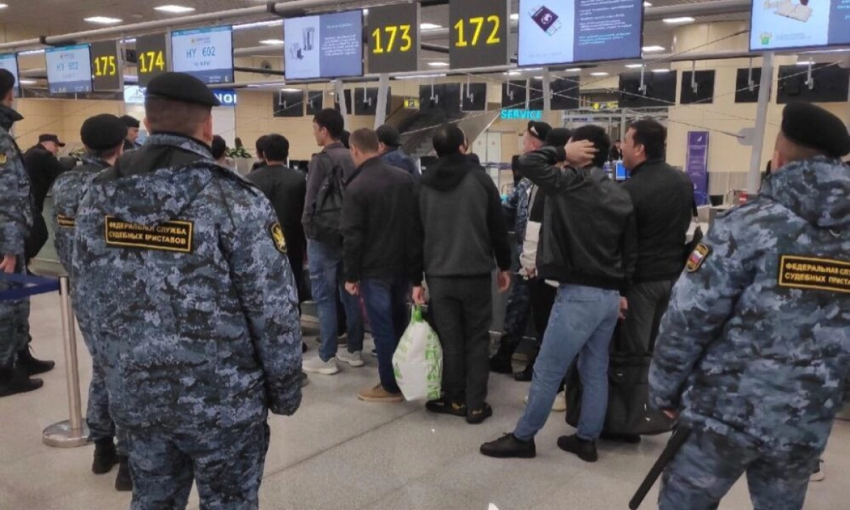 255 мигрантов выдворено из Ярославской области 255 мигрантов выдворено из Ярославской области