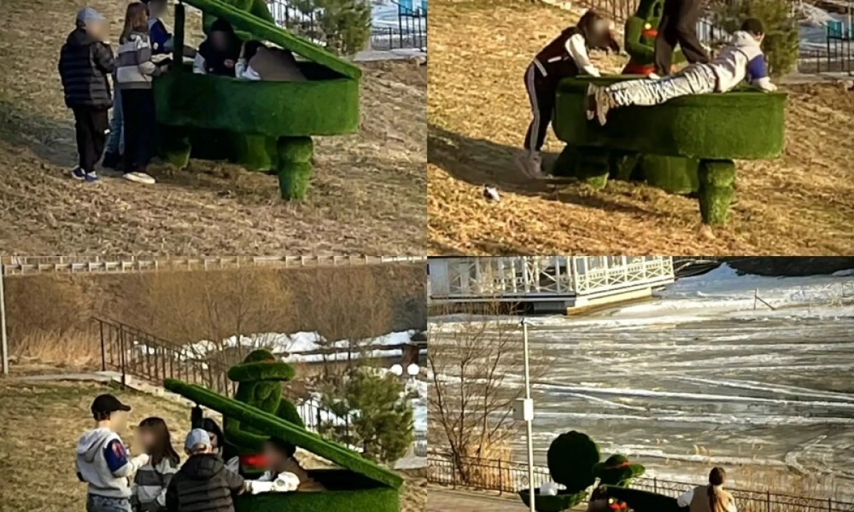 В Ярославской области сообщают о вандализме на набережной реки Солоницы В Ярославской области сообщают о вандализме на набережной реки Солоницы