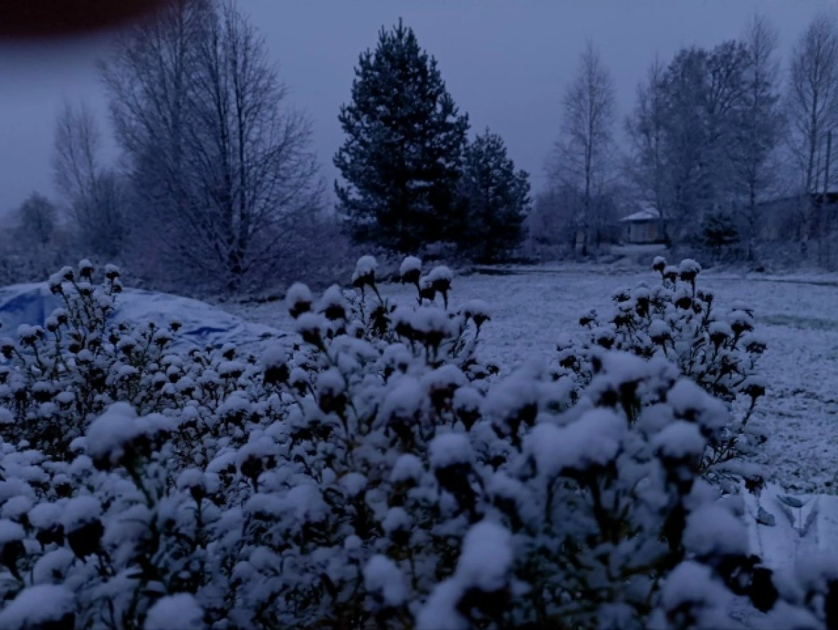 В Ярославской области выпал первый снег
