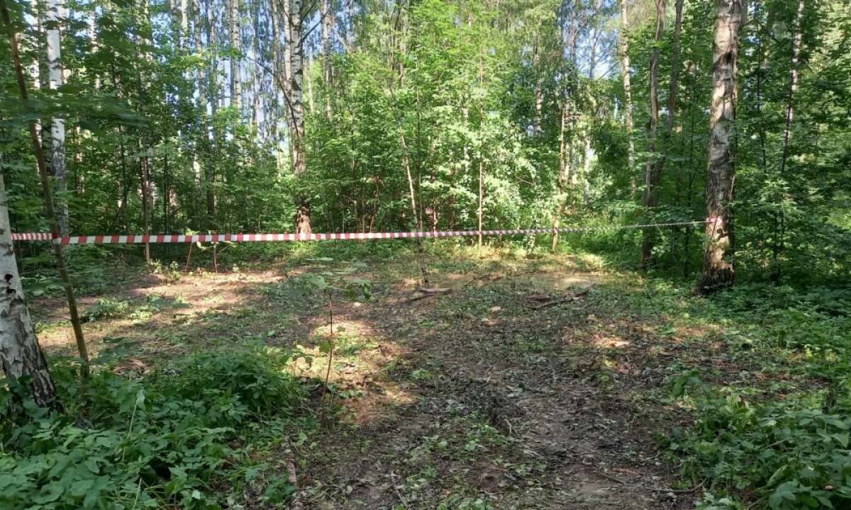 В Ярославле в Павловской роще забил источник В Ярославле в Павловской роще забил источник