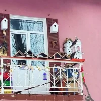 В Ярославской области обнаружен самый красивый балкон