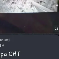 Под Ярославлем жители деревень просят прогнать в лес медведя