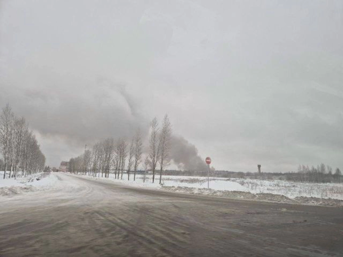 Глава Рыбинска заявил, что проблема запаха от сжигания куриц решена