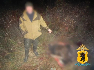 Мяса больше: в Ярославской области охотник вместо птицы подстрелил лося