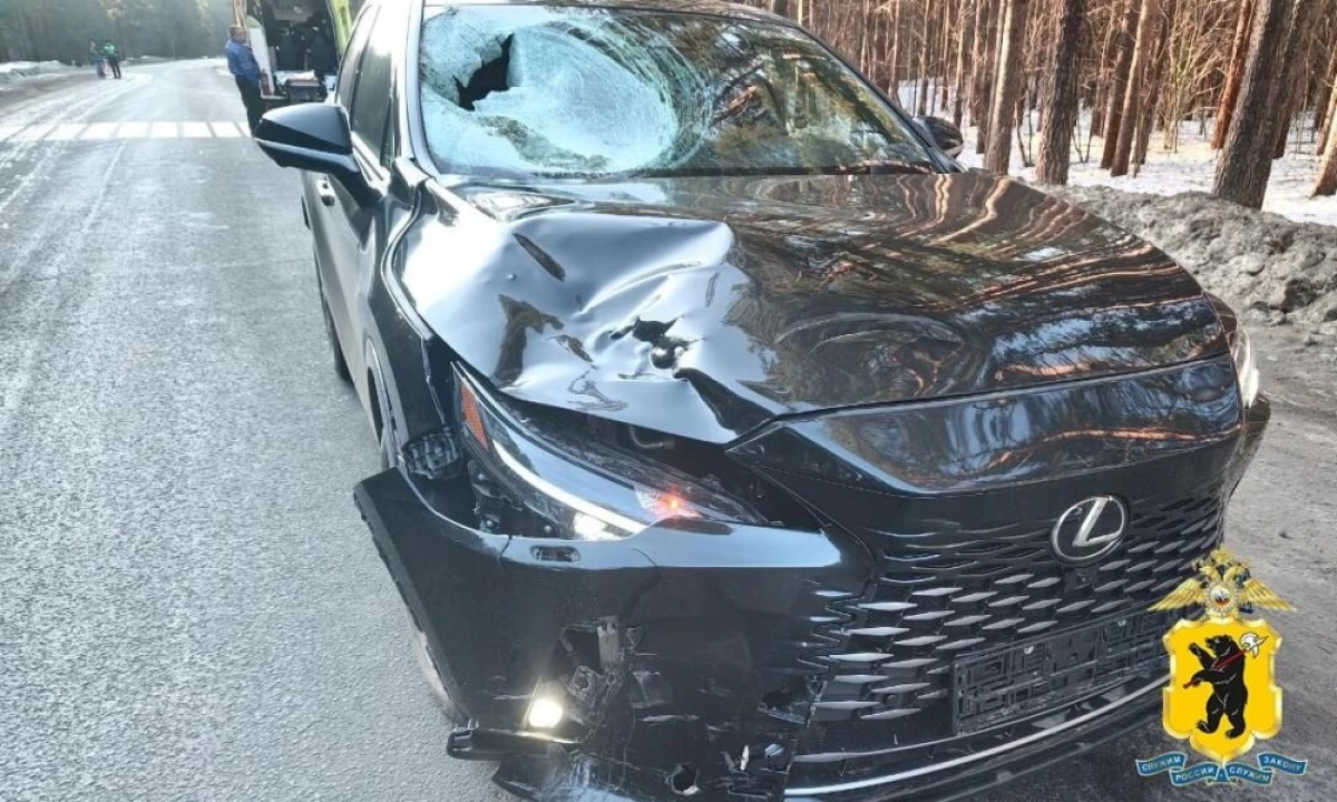 Под Ярославлем «Лексус» сбил пожилого велосипедиста Под Ярославлем «Лексус» сбил пожилого велосипедиста