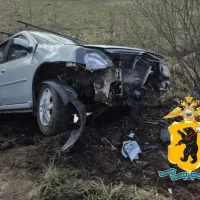 В Ярославской области погибла 88-летняя пассажирка съехавшей в кювет иномарки