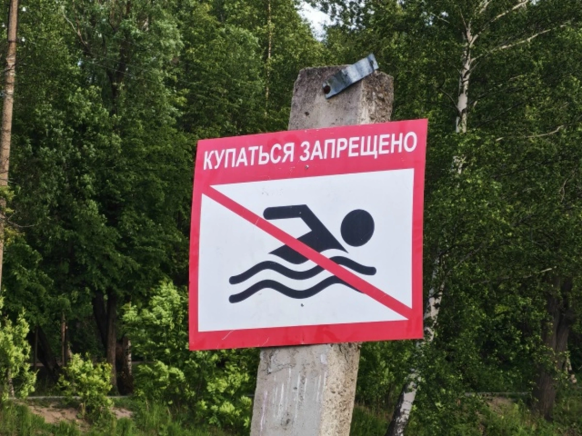 Жителям Тутаева и Константиновского запретили купаться в Волге