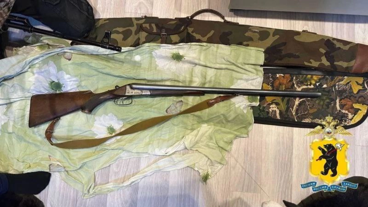 Жительница Ярославской области помогала браконьерам убивать лосей