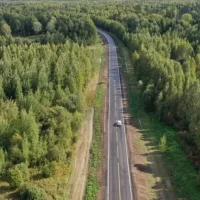 В Ярославской области установят въездные стелы с 3D медведем