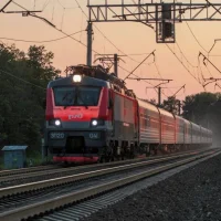 В Ярославской области пассажирский поезд сбил лося