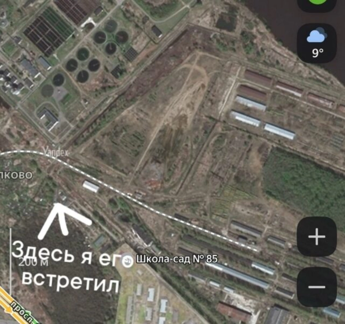 В Ярославле молодой медведь напугал рыбака В Ярославле молодой медведь напугал рыбака