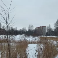 В Ярославле выдано разрешение на строительство высотки в Брагино