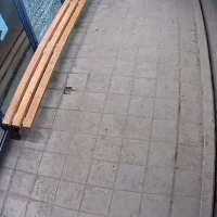 Угличский глава выступил с обращением по поводу разбитой &laquo;Яостановки&raquo;