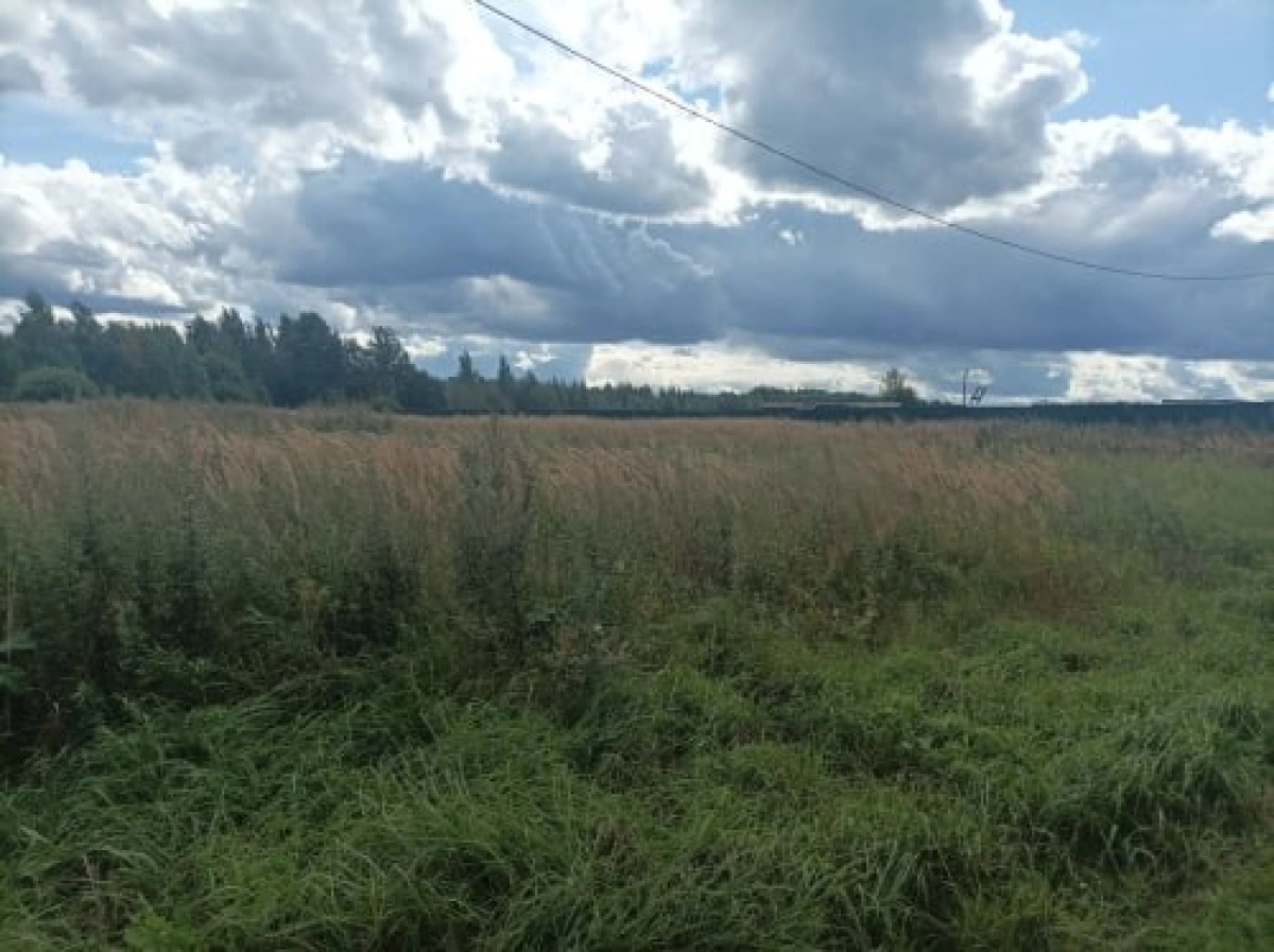 В Ярославской области суд обязал власти обустроить поле для многодетных