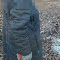 В Ярославле бабушку-пилильщицу доставили в отдел полиции