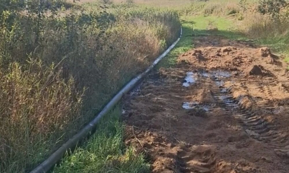 В Ярославской области устранили утечку навоза с крупной фермы