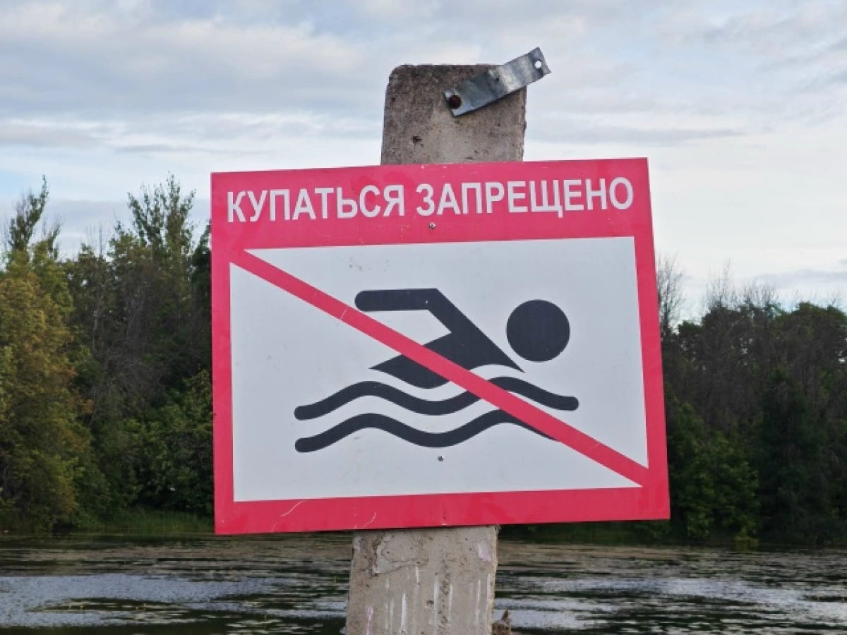 В Ярославской области запретили купаться в Которосли